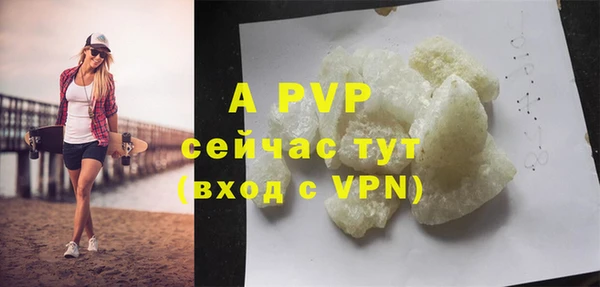 ECSTASY Белокуриха