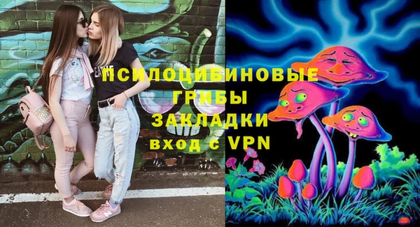 ECSTASY Белокуриха