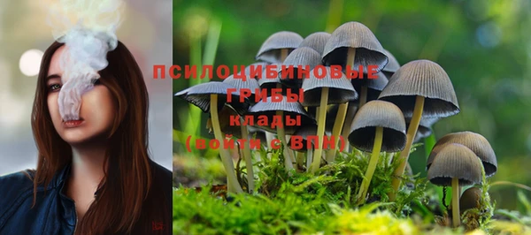 бошки Белоозёрский