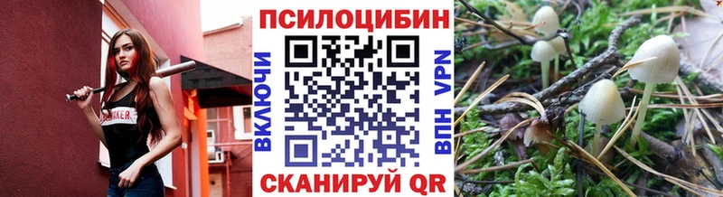 Псилоцибиновые грибы мухоморы  как найти закладки  Соль-Илецк 