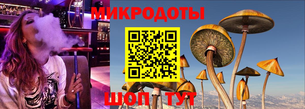 Псилоцибиновые грибы мухоморы Соль-Илецк